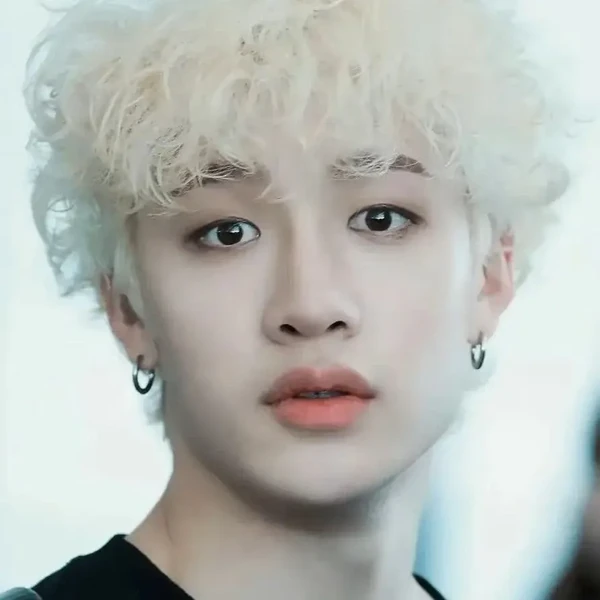 粉丝票选的方灿 (Stray Kids)最佳瞬间