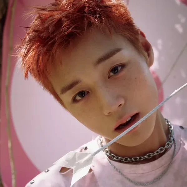 오늘 가장 사랑받은 박지훈의 모습