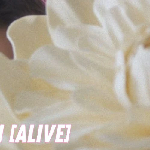 ドンヘ (Super Junior)への愛が詰まった人気写真