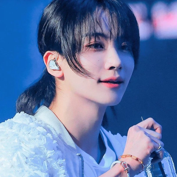 팬들이 뽑은 세븐틴 최고의 순간