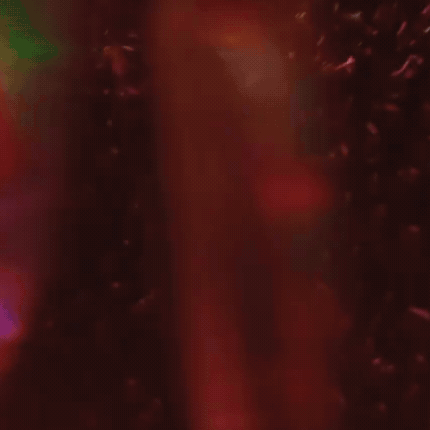 Penampilan Donghae (Super Junior) yang Paling Dicintai Hari Ini