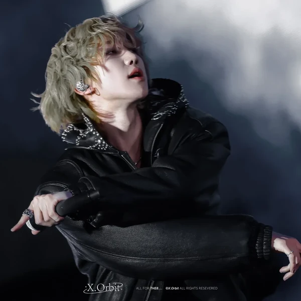 팬들이 뽑은 세븐틴 최고의 순간