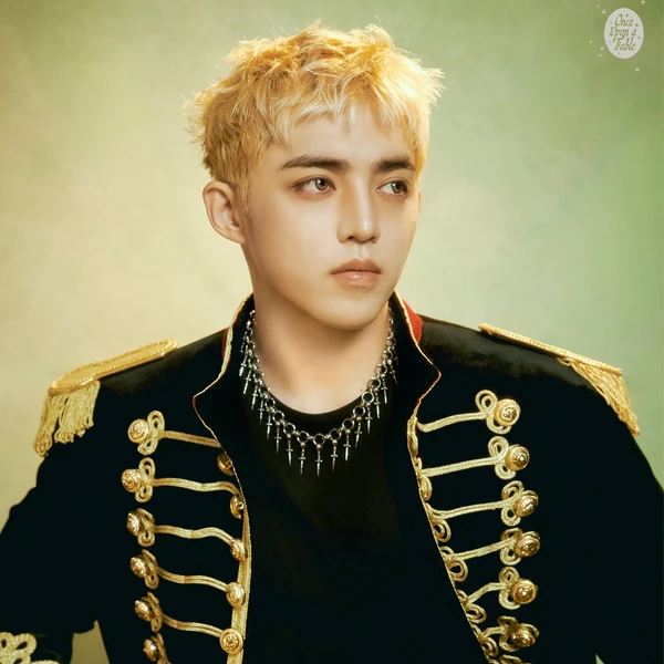 세븐틴 팬심 가득한 인기 사진