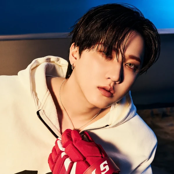 粉丝票选的彰彬 (Stray Kids)最佳瞬间