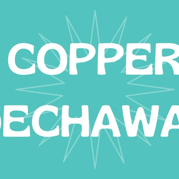 充滿粉絲愛意的Copper (BUS)人氣照片