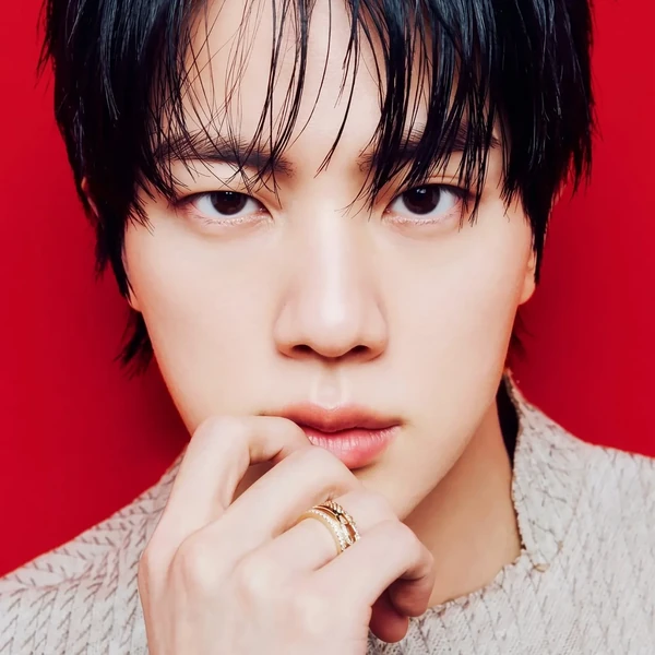 팬들이 뽑은 진 (방탄소년단) 최고의 순간