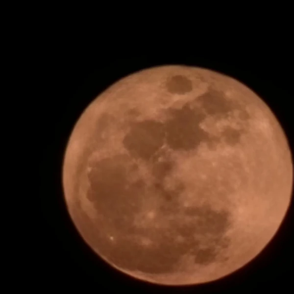 Today's Most Loved Haram (Billlie)