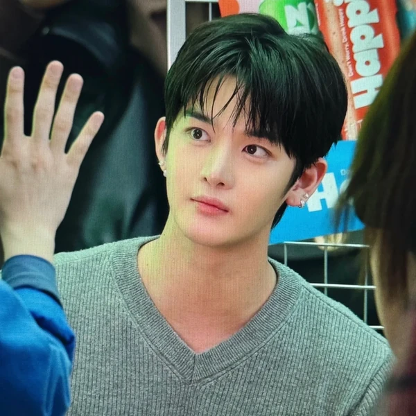 今日最受喜愛的裴珍映