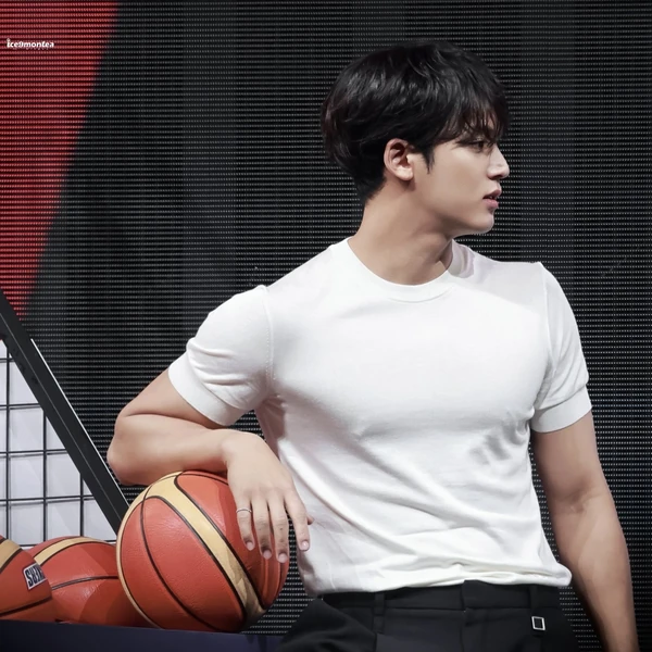 세븐틴 팬심 가득한 인기 사진