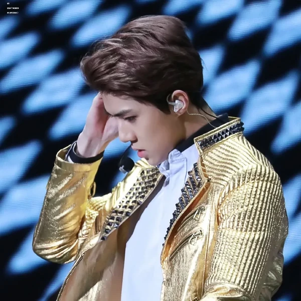 세훈 (EXO) 팬심 가득한 인기 사진