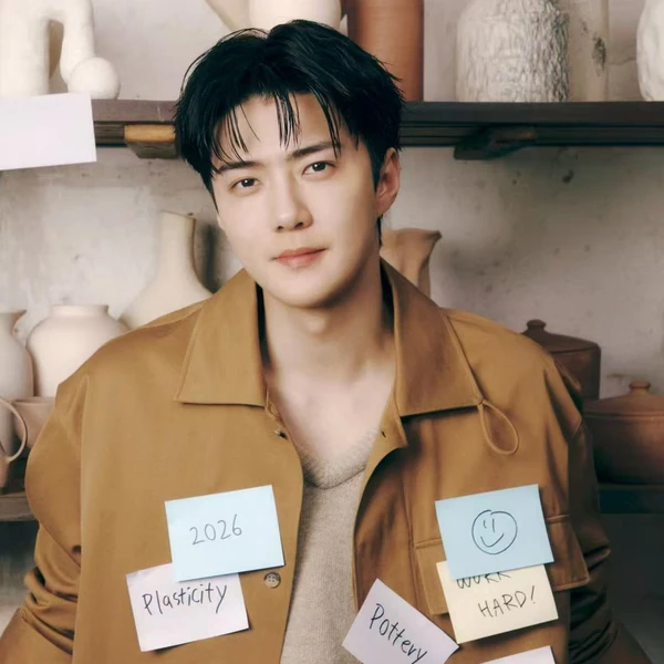 팬들이 뽑은 세훈 (EXO) 최고의 순간