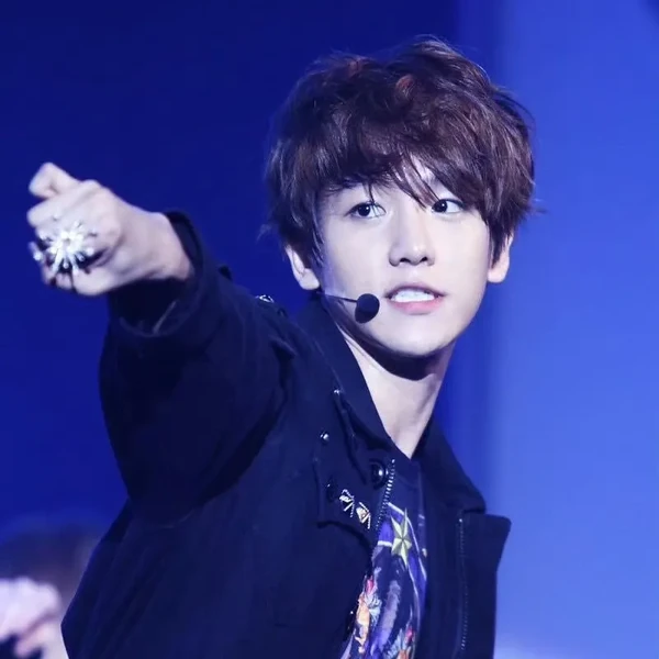 充滿粉絲愛意的伯賢 (EXO)人氣照片