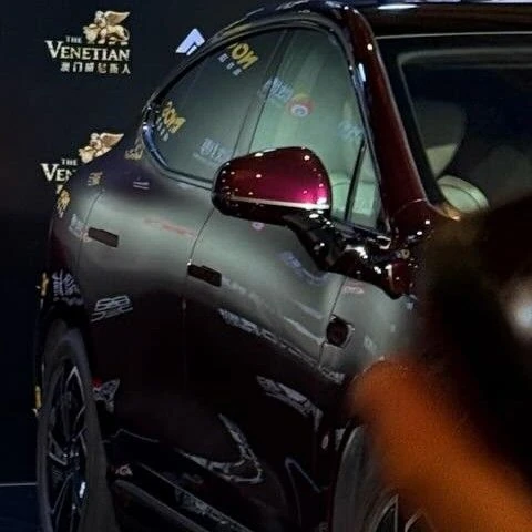 充满粉丝爱意的颂乐 (MAMAMOO)人气照片