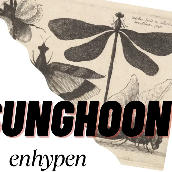 Top Photo Full of Sunghoon (ENHYPEN) Love