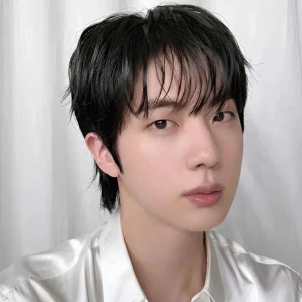 팬들이 뽑은 진 (방탄소년단) 최고의 순간