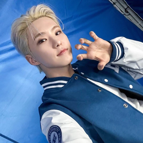 Top Photo Full of Hoshi (SEVENTEEN) Love