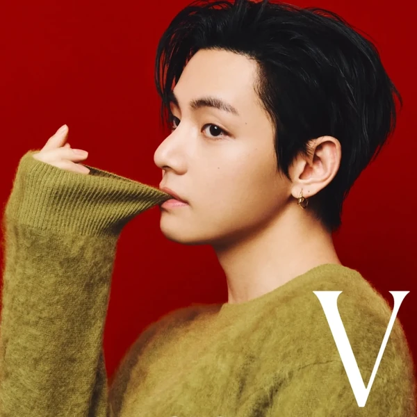 팬들이 뽑은 뷔 (방탄소년단) 최고의 순간