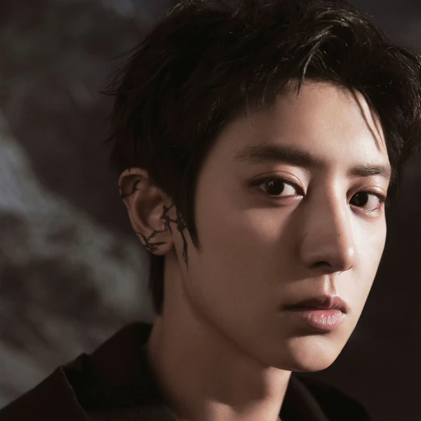 EXO 팬심 가득한 인기 사진