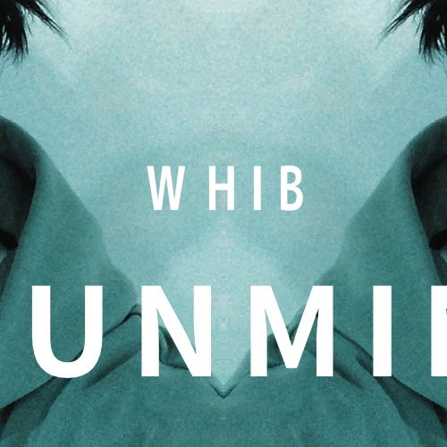 Fans' Pick: Best Moment of Kim Junmin (WHIB)