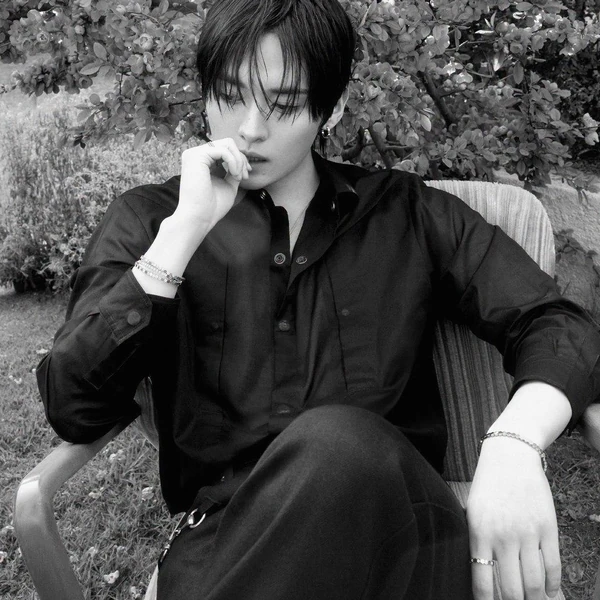 Top Photo Full of Lee Know (Stray Kids) Love