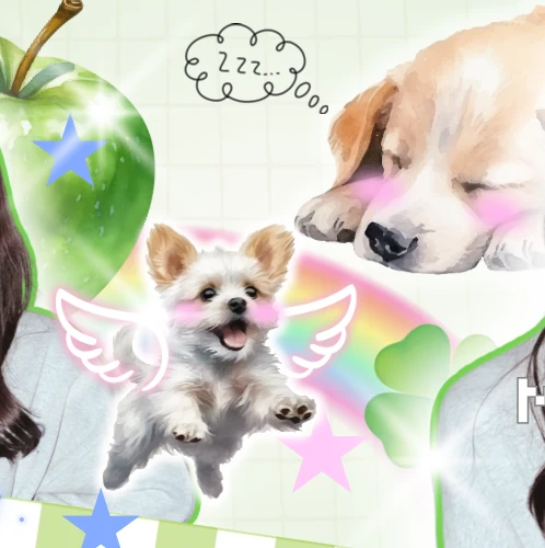 Top Photo Full of Kasahara Momona (ME:I) Love