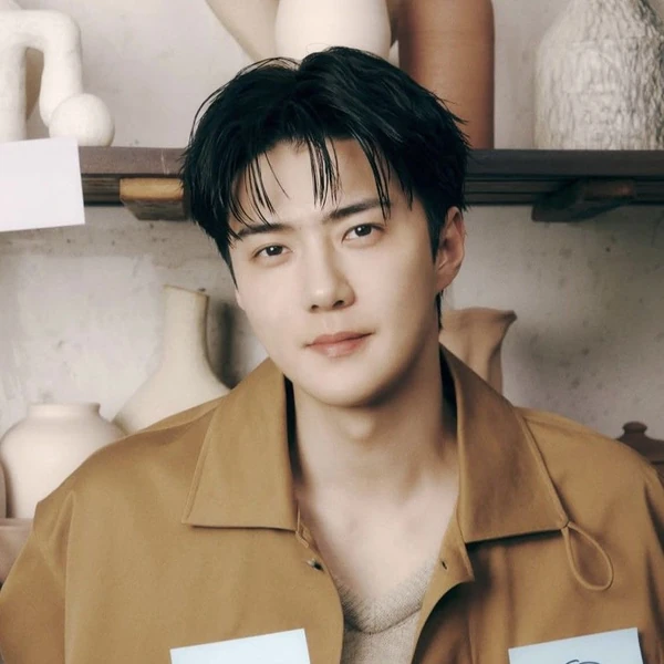 팬들이 뽑은 세훈 (EXO) 최고의 순간