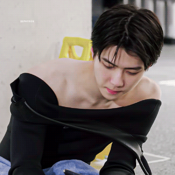 팬들이 뽑은 세훈 (EXO) 최고의 순간