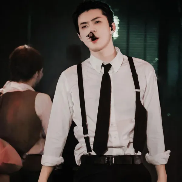 팬들이 뽑은 세훈 (EXO) 최고의 순간