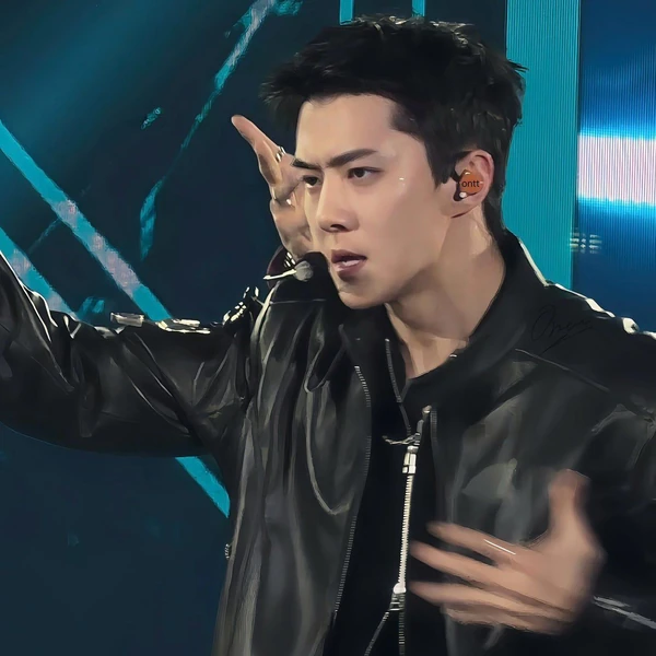 팬들이 뽑은 세훈 (EXO) 최고의 순간