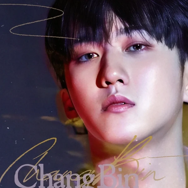 ファンが選んだチャンビン (Stray Kids)最高の瞬間