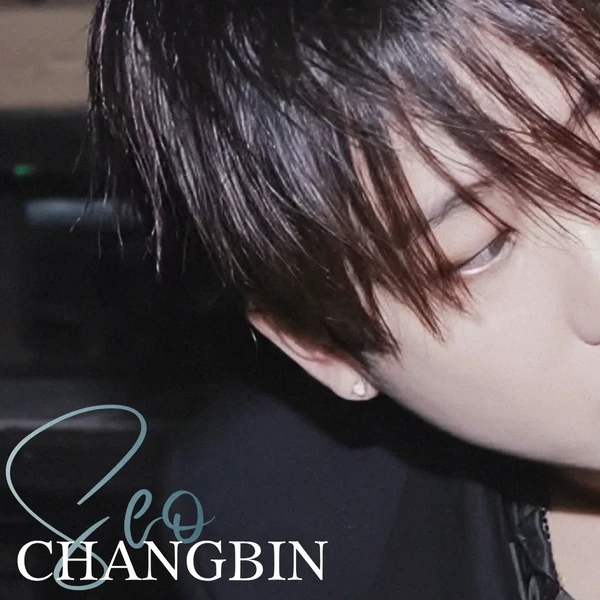 チャンビン (Stray Kids)への愛が詰まった人気写真