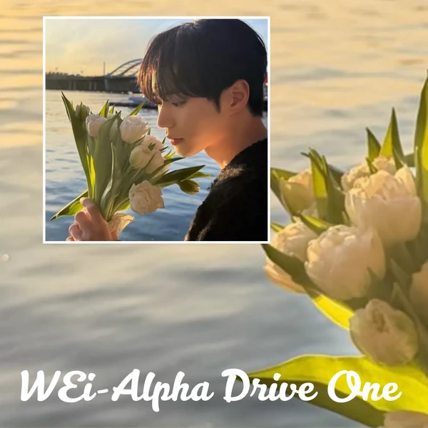 今天最受喜爱的金俊抒 (ALPHA DRIVE ONE)