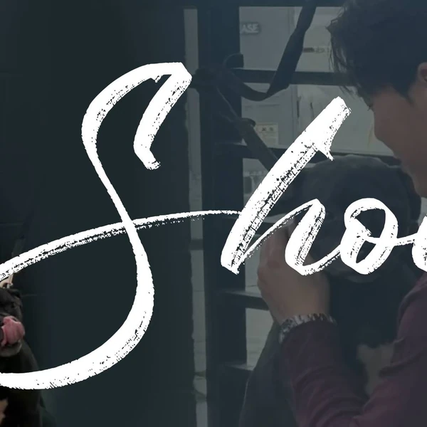 오늘 가장 사랑받은 셔누 (몬스타엑스)의 모습