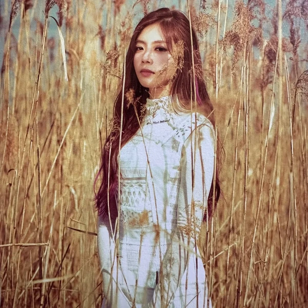 粉絲票選的DREAMCATCHER最佳瞬間