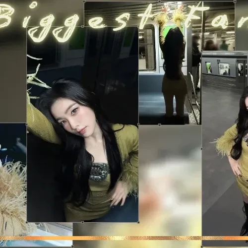 아이린 (레드벨벳) 팬심 가득한 인기 사진