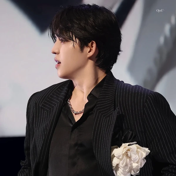 粉絲票選的SEVENTEEN最佳瞬間