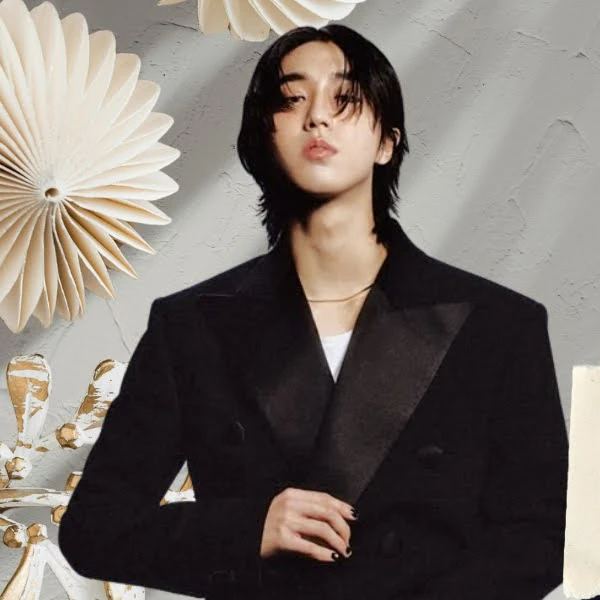 Popular profile picture of HAN (Stray Kids) loved by fans