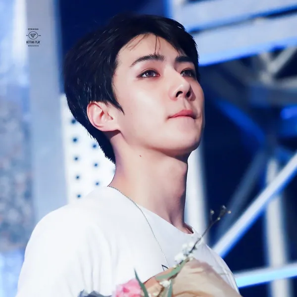 세훈 (EXO) 팬심 가득한 인기 사진