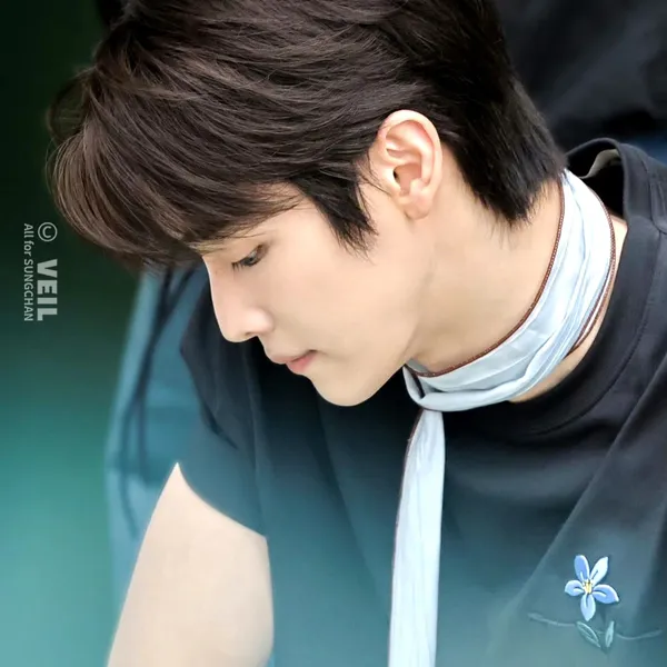 充滿粉絲愛意的成燦 (RIIZE)人氣照片