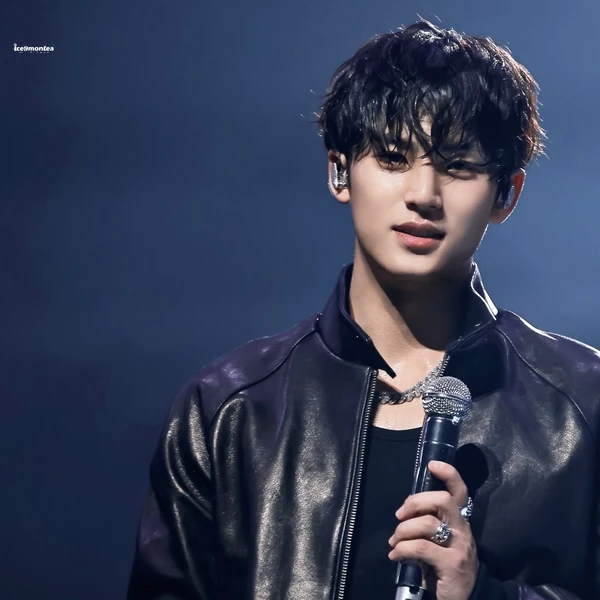 粉絲票選的SEVENTEEN最佳瞬間