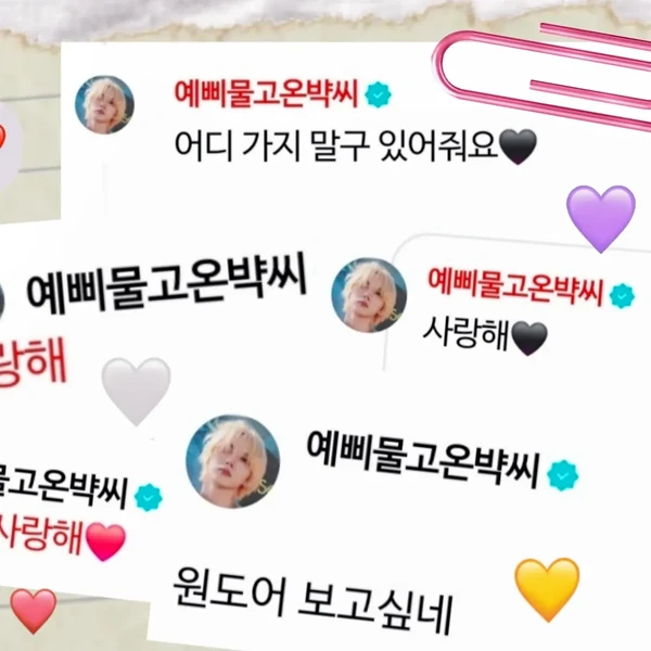 Fans' Pick: Best Moment of Sungho (BOYNEXTDOOR)