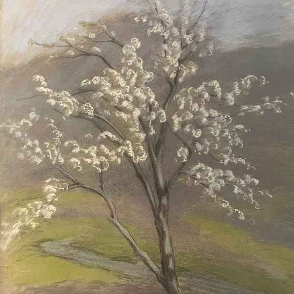 팬들이 뽑은 EXO 최고의 순간