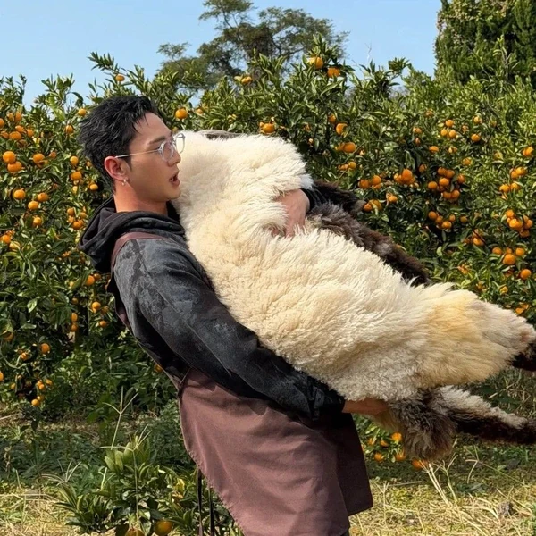 백호 팬심 가득한 인기 사진