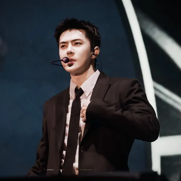 팬들이 뽑은 세훈 (EXO) 최고의 순간