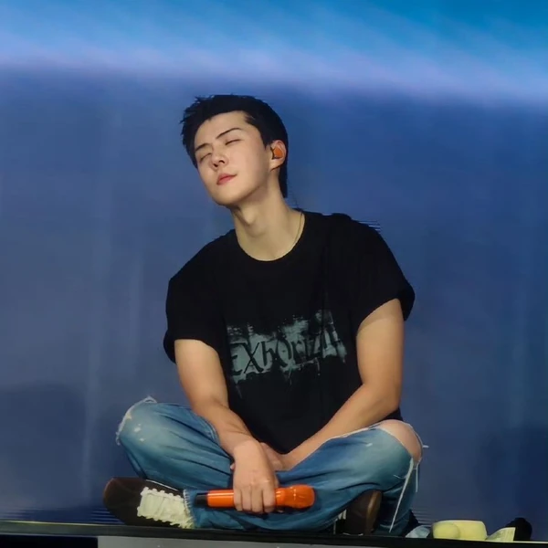 팬들이 뽑은 세훈 (EXO) 최고의 순간