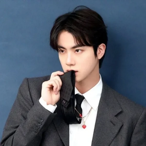 진 (방탄소년단) 팬심 가득한 인기 사진