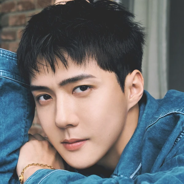 팬들이 뽑은 세훈 (EXO) 최고의 순간