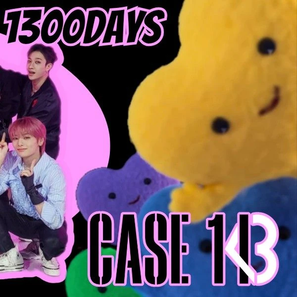 Stray Kids 팬심 가득한 인기 사진