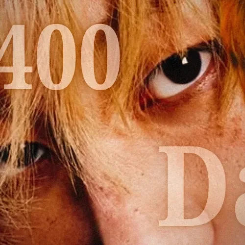 팬들이 뽑은 세븐틴 최고의 순간