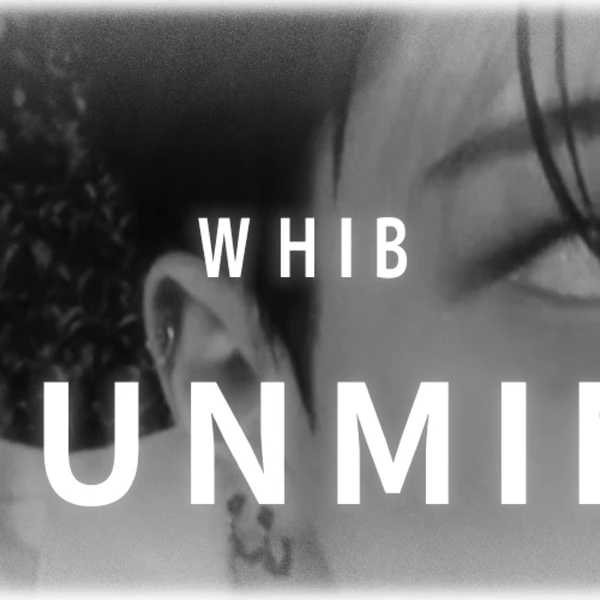 今天最受喜爱的金俊民 (WHIB)